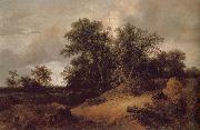 Jacob van Ruisdael Dune Landfscape china oil painting reproduction